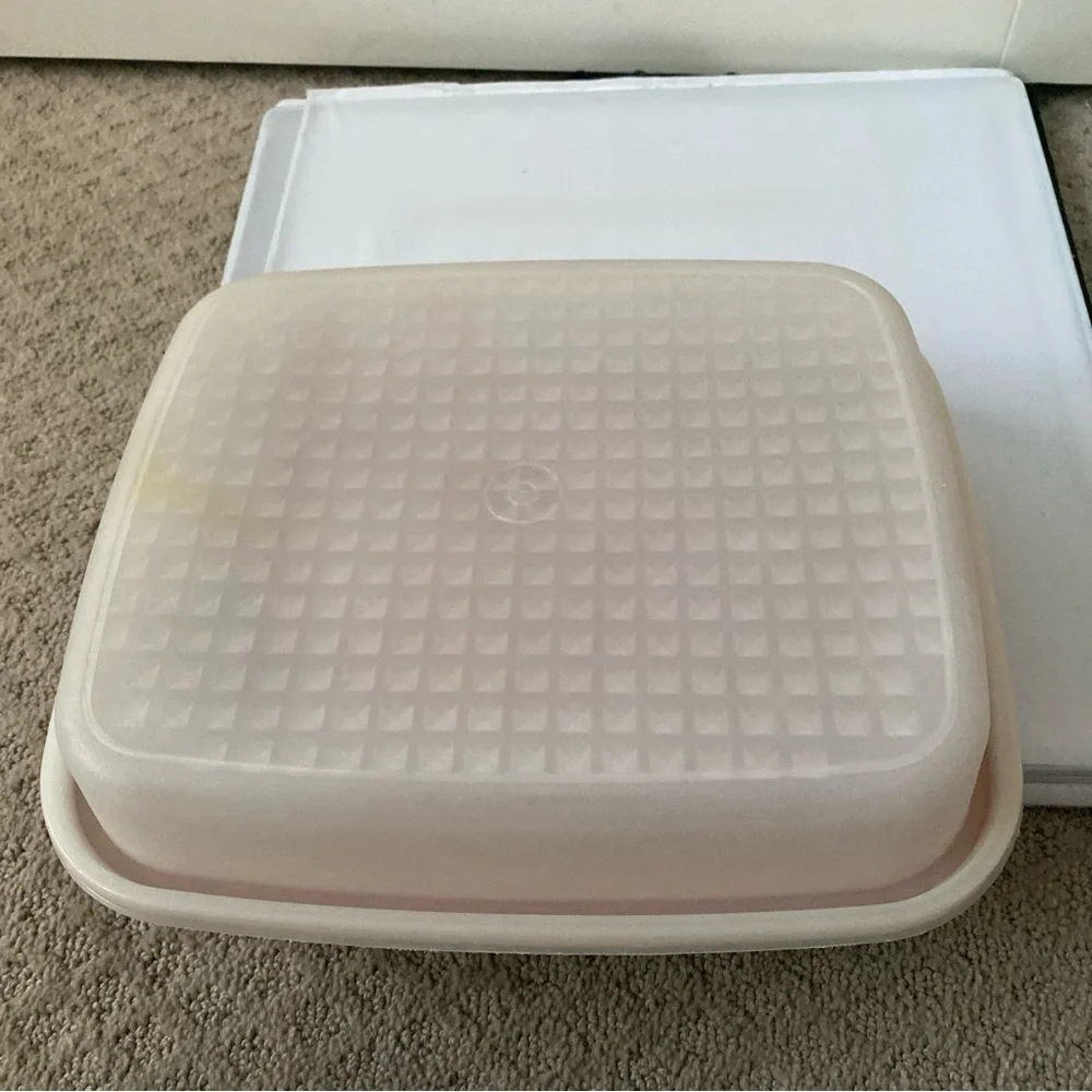 Tupperware large marinate dish